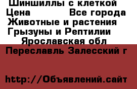 Шиншиллы с клеткой › Цена ­ 8 000 - Все города Животные и растения » Грызуны и Рептилии   . Ярославская обл.,Переславль-Залесский г.
